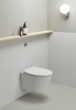 GSI MODO WC sedátko, Soft Close, Quick Release, bílá mat/chrom MS98C09