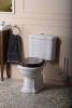 Kerasan RETRO WC kombi mísa 38, 5x72cm, zadní odpad, bílá 101301
