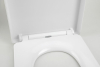 Sapho LISA WC sedátko, Soft Close, Easy Take, bílá 1703-746