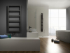 Sapho DENALI otopné těleso 550x1336 mm, antracit DN613A