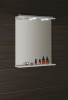 Aqualine KORIN zrcadlo s LED osvětlením a zásuvkou 60x70x12cm KO397