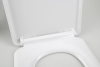 Sapho LENA WC sedátko, Soft Close, Easy Take, antibakteriální, bílá 1703-113