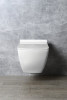 Isvea PURITY WC sedátko, SLIM, Soft Close, bílá 40S80200I