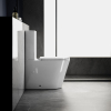 Sapho AVIS WC kombi, Vortex Rimless, spodní/zadní odpad, bílá PC106V