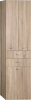 Aqualine ZOJA/KERAMIA FRESH skříňka vysoká s košem 50x184x29cm, dub platin 51295