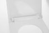Sapho AVVA WC sedátko, SLIM, Soft Close, bílá 100787