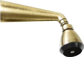 Sapho Nástěnná sprcha s otočným kloubem, bronz 9046