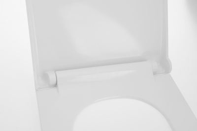 Sapho AVVA WC sedátko, SLIM, Soft Close, bílá 100787