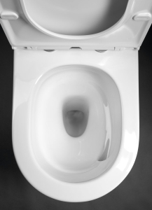 Sapho AVIS WC kombi, Vortex Rimless, spodní/zadní odpad, bílá PC106V