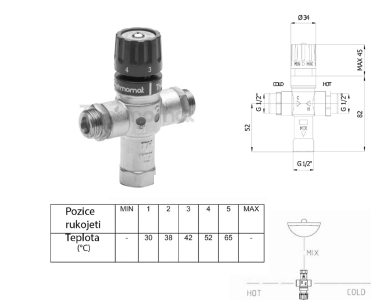 Sapho Termostatický regulátor teploty vody, 1/2", 30-60 stupňů, zpětné klapky TMT12MPM