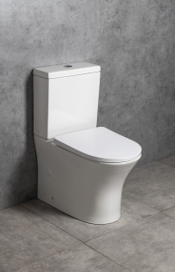 Bruckner LEON WC kombi, Rimless, spodní/zadní odpad, bílá 201.437.4