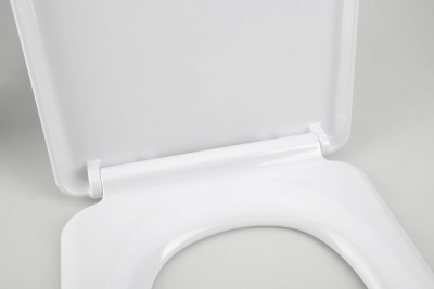Sapho LENA WC sedátko, Soft Close, Easy Take, antibakteriální, bílá 1703-113