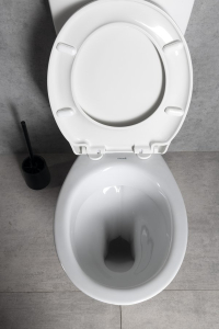 CREAVIT WC kombi, dvojtlačítko 4, 5/6l, zadní odpad, bílá TP3306