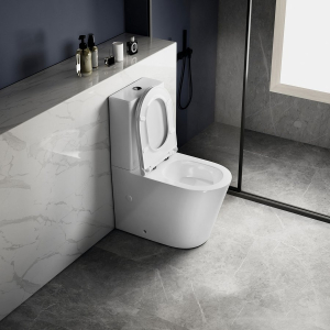 Sapho AVIS WC kombi, Vortex Rimless, spodní/zadní odpad, bílá PC106V