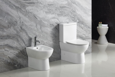 Aqualine JALTA WC kombi, Rimless, spodní/zadní odpad, bílá PB103RW