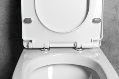 Aqualine VERMET WC sedátko, Soft Close, Easy Take, bílá VRS008