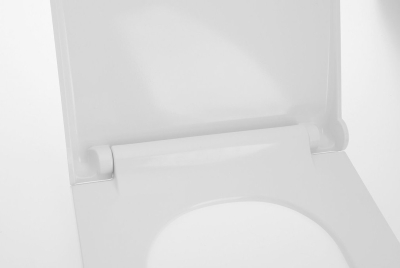 Sapho AVVA WC sedátko, SLIM, Soft Close, bílá 100787
