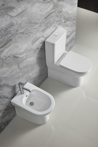 Aqualine JALTA WC kombi, Rimless, spodní/zadní odpad, bílá PB103RW