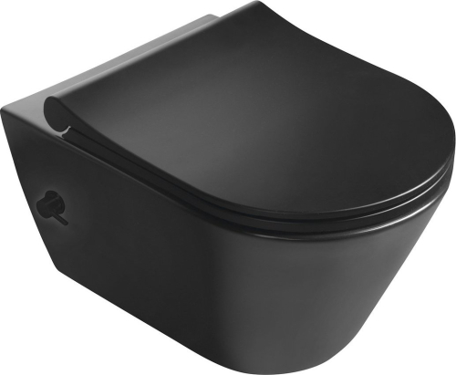 Sapho AVVA CLEANWASH závěsná WC mísa, integrovaná baterie a bidet. sprška, Rimless, 35, 5x53cm, černá mat 100315-110