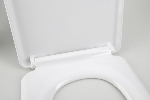 Sapho LENA WC sedátko, Soft Close, Easy Take, antibakteriální, bílá 1703-113